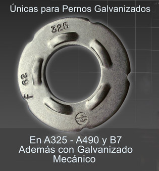 golilla dti
